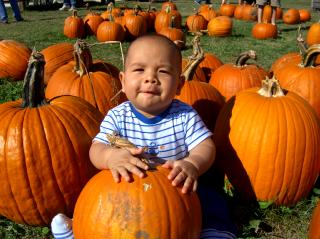  Our Little Pumpkin